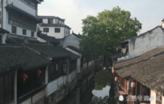 解惑交流,乳胶枕到底是不是智商税?让知识畅通无阻